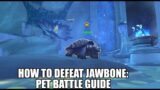 World Of Warcraft Shadowlands: Jawbone Pet Battle Guide