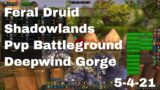 World of Warcraft Shadowlands Feral Druid Pvp Battleground, Deepwind Gorge, 5-4-21