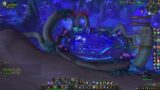 World of Warcraft Shadowlands Gameplay Hunter World Quests