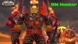 World of Warcraft Shadowlands pvp Gameplay BM Hunter