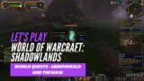 Let's Play World of Warcraft: Shadowlands (World quests – Ardenweald and Ve'nari Rep quests)