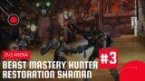 World of Warcraft: Shadowlands | 2v2 Arena | BM Hunter & Resto Shaman #3
