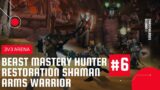 World of Warcraft: Shadowlands | 3v3 Arena | BM Hunter & Resto Shaman & Arms Warrior #6