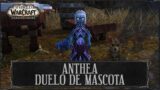 Anthea – Tortazos en el templo | Duelo de Mascota | Shadowlands | World of Warcraft