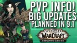 BIG INFO! Blizzard's Plans For Patch 9.1 PvP And Beyond In Shadowlands! – WoW: Shadowlands 9.1 PTR