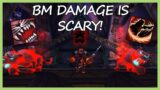 BM DAMAGE IS SCARY! | Beast Mastery Hunter PvP | WoW Shadowlands 9.0.5