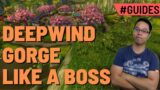 Deepwind Gorge like a BOSS Guide – Vengeance Demon Hunter Shadowlands PVP