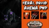 FERAL DRUID PvP 2800+Arena – WoW Shadowlands