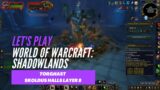 Let's Play World of Warcraft: Shadowlands (Torghast – Skoldus Halls Layer 8)