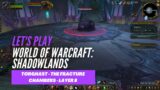 Let's Play World of Warcraft: Shadowlands (Torghast – The Fracture Chambers – Layer 8)