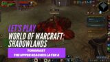 Let's Play World of Warcraft: Shadowlands (Torghast – The Upper Reaches Layer 8)