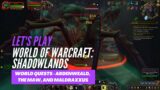 Let's Play World of Warcraft: Shadowlands (World quests – Ardenweald, The Maw, and Maldraxxus)