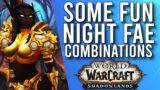 Potentially 4 Fun NIGHT FAE Class Combinations In Patch 9.1 Shadowlands! – WoW: Shadowlands 9.1 PTR