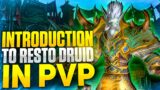 Resto Druid PVP 9.0 – WoW Shadowlands |First Time Ever!|