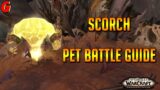 Scorch Pet Battle Guide – Shadowlands