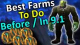The Best Farms To Do Before And In Patch 9.1 | Wow Shadowlands Gold Farming Guide