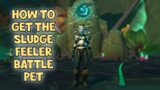 WoW Shadowlands – How To Get The Sludge Feeler Battle Pet