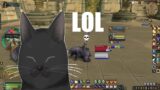 cat tries world of warcraft shadowlands arena…