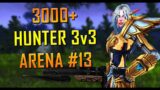 3000+ Marksmanship Hunter 3v3 Arena #13 [Shadowlands Patch 9.0.5]