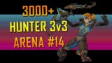 3000+ Marksmanship Hunter 3v3 Arena #14 [Shadowlands 9.0.5]