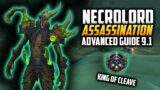 Advanced Assassination Rogue Guide 9.1 Necro – Sanctum of Domination -Shadowlands -World of Warcraft