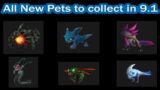 All The New Pets Arriving in 9.1 Chains of Domination ~ Shadowlands ~ World of Warcraft