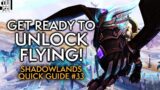 Flying, Starting Season 2 And What's New! Shadowlands Quick Guide #33