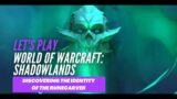 Let's Play World of Warcraft: Shadowlands (Discovering the identity of the Runecarver)