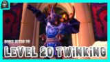 Quick Intro to Level 20 Twinking | WoW Shadowlands