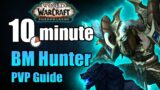 Shadowlands 9.1 Beast Mastery Hunter PVP Guide in under 10 minutes | WoW