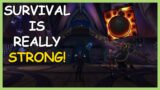 Survival is Really Strong! | Survival Hunter PvP | WoW Shadowlands 9.1