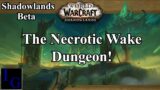 The Necrotic Wake Dungeon! Full Clear Blood DK PoV | WoW Shadowlands Beta