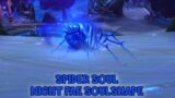 WoW Shadowlands 9.1 – How To Get The Spider Soul | Night Fae Soulshape