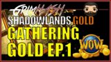WoW Shadowlands Gold Making Professions [Skinning & Mining] // Ep. 1