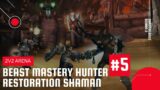 World of Warcraft: Shadowlands | 2v2 Arena | BM Hunter & Resto Shaman #5