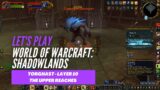 Let's Play World of Warcraft: Shadowlands (Torghast – Layer 10 – The Upper Reaches)
