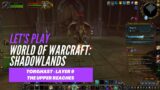 Let's Play World of Warcraft: Shadowlands (Torghast – The Upper Reaches – Layer 9)