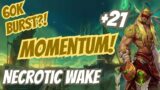 Momentum Havoc DH | Necrotic Wake +21 | Shadowlands 9.1 M+ Havoc Demon Hunter PoV