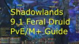 My 9.1 Shadowlands Feral Druid PvE/M+ Guide! – 9.1 Shadowlands