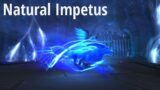 Natural Impetus Soulshape vs Regular Soulshape – World of Warcraft Shadowlands