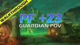 Plaguefall +23 | Shadowlands Season 2 High M+ Tank Commentary (Guardian Druid PoV)