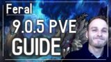 Shadowlands 9.0.5 Feral PVE M+ Guide BASIC Overview Abilities/Rotation Guide + Fight Breakdowns