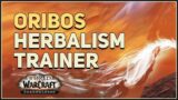 Shadowlands Herbalism Trainer Location Oribos WoW