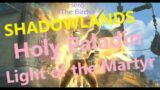 Shadowlands PvE Holy Paladin: Light of the Martyr Build Raid/M+