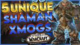 5 Unique Shaman Transmog Sets World Of Warcraft Shadowlands
