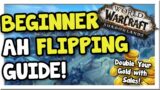 Beginner Guide to AH Flipping! 2x Your Gold! | Patch 9.1 | Shadowlands | WoW Gold Making Guide