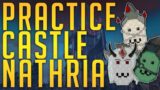 Castle Nathria Boss Strats | Nathria Pineapple Flash Game | Shadowlands Raid Guide