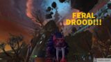 FERAL DROOD FRENZY-WoW PvP 9.1 Shadowlands