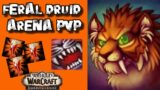 FERAL DRUID PvP 2.7k – WoW Shadowlands