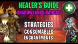Healer's Guide to Raiding in Shadowlands- All the basics you need to know! | World of Warcraft